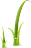 Twig